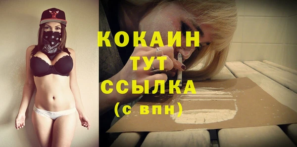 винт Аркадак